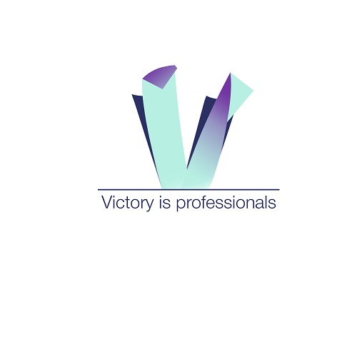 Разработка логотипа для IT компании Vip Computers