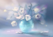 Белая Амнезия. Крокусы. Цветная Амнезия